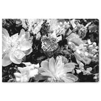Wynwood Studio 'tamna flora' cvjetni i botanički zidni umjetnički platno print - crni, bijeli, 30 20