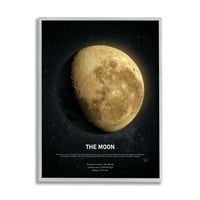 Stupell Industries Earth's Moon nebeske činjenice Svemir Infografska Novel Foriol Fotografija siva uokvirena umjetnička print zidna