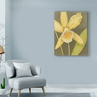 Zaštitni znak likovna umjetnost 'orhideja i zemlja ja' platno umjetnost Megan Meagher
