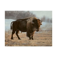 Zaštitni znak likovna umjetnost 'bizon' platno umjetnost Rusty Frentner