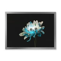 Designart 'Izbliza bijelog i čisto plavog cvijeta tratinčice I' tradicionalni uokvireni umjetnički tisak