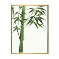 Pojedinosti tamnozelenog bambusa na bijelom III uokvirenom slikarskom platnu umjetnički tisak