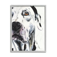 Stupell Industries Dalmatian Portret za pse za kućne ljubimce Bold Pas Pas Grey Framed, 14, dizajn Georgea Dyachenko