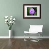 Zaštitni znak likovna umjetnost Purple Flower platna Art by Jason Shaffer, bijela mat, drveni okvir